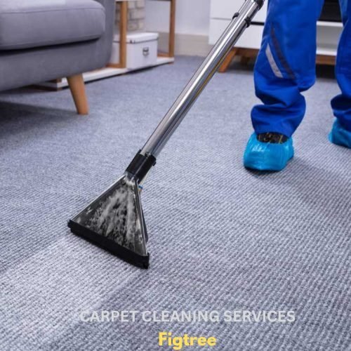 carpet cleaning Figtree