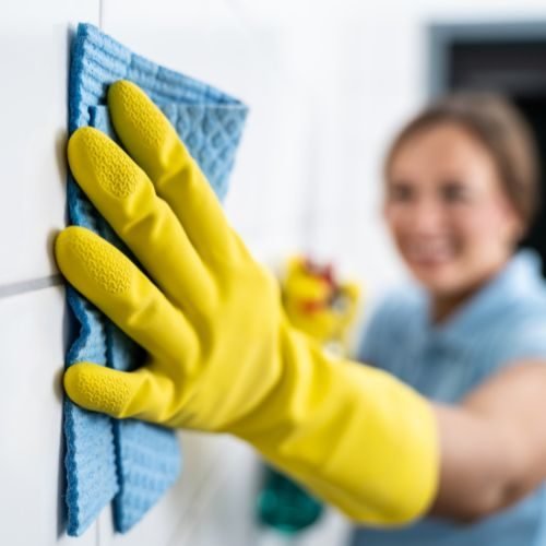 Tile And Grout Cleaning Albion Park